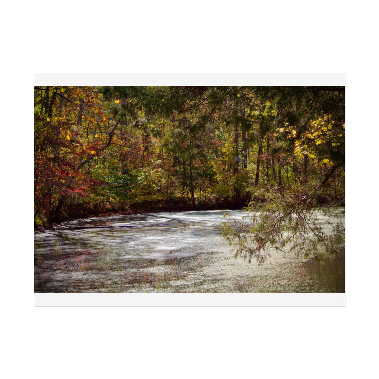 Autumn Serenity Rolled Posters - Nature Wall Art for Cozy Living Spaces