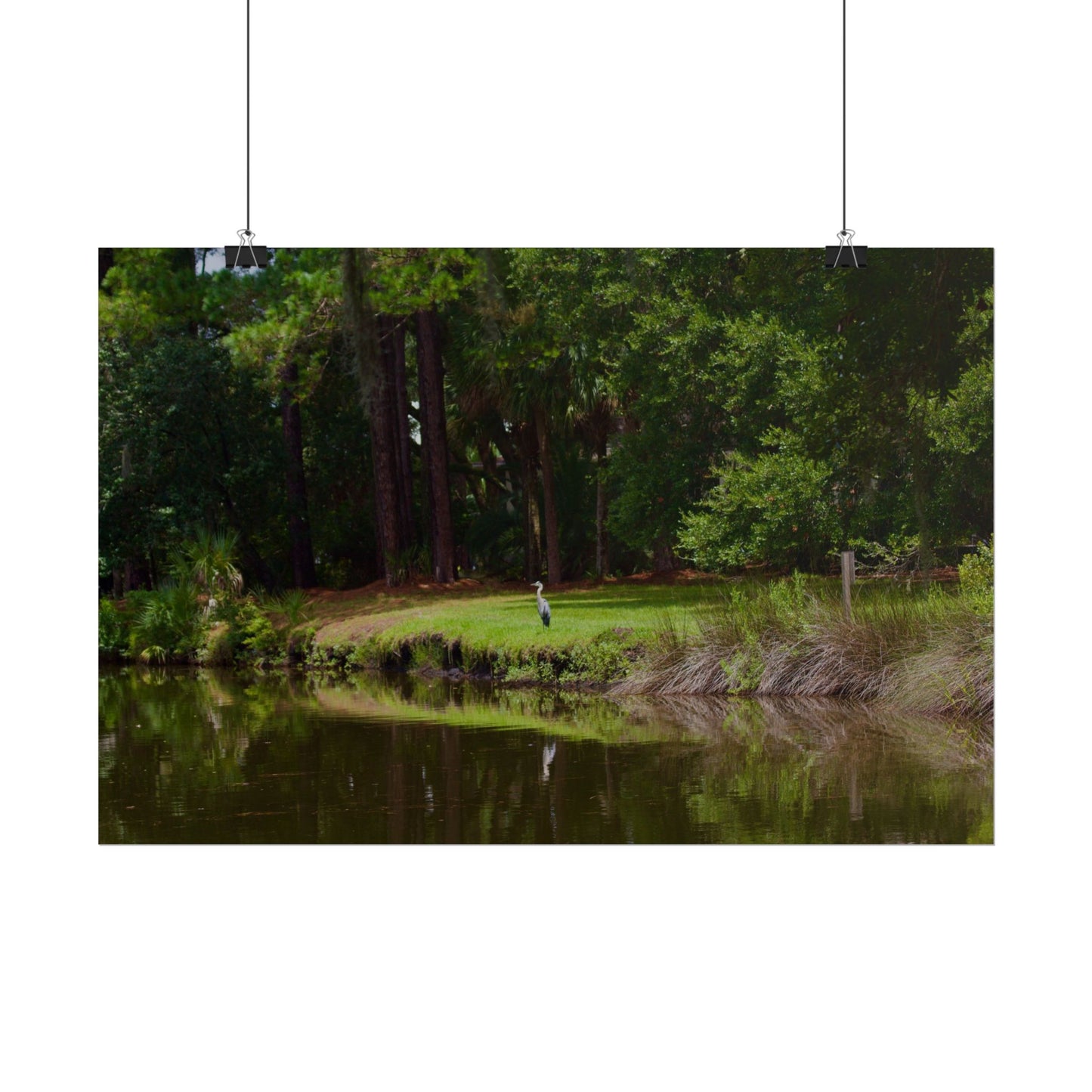 Tropical Photography Poster