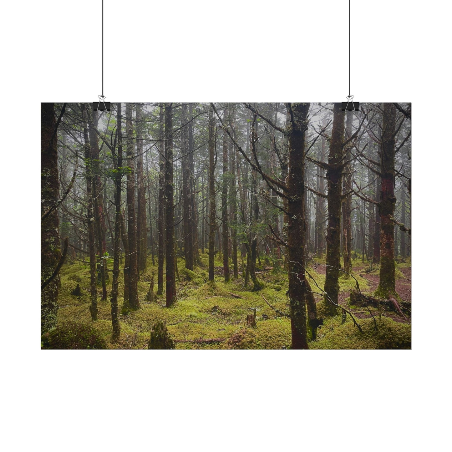 Foggy Forest Photography Poster