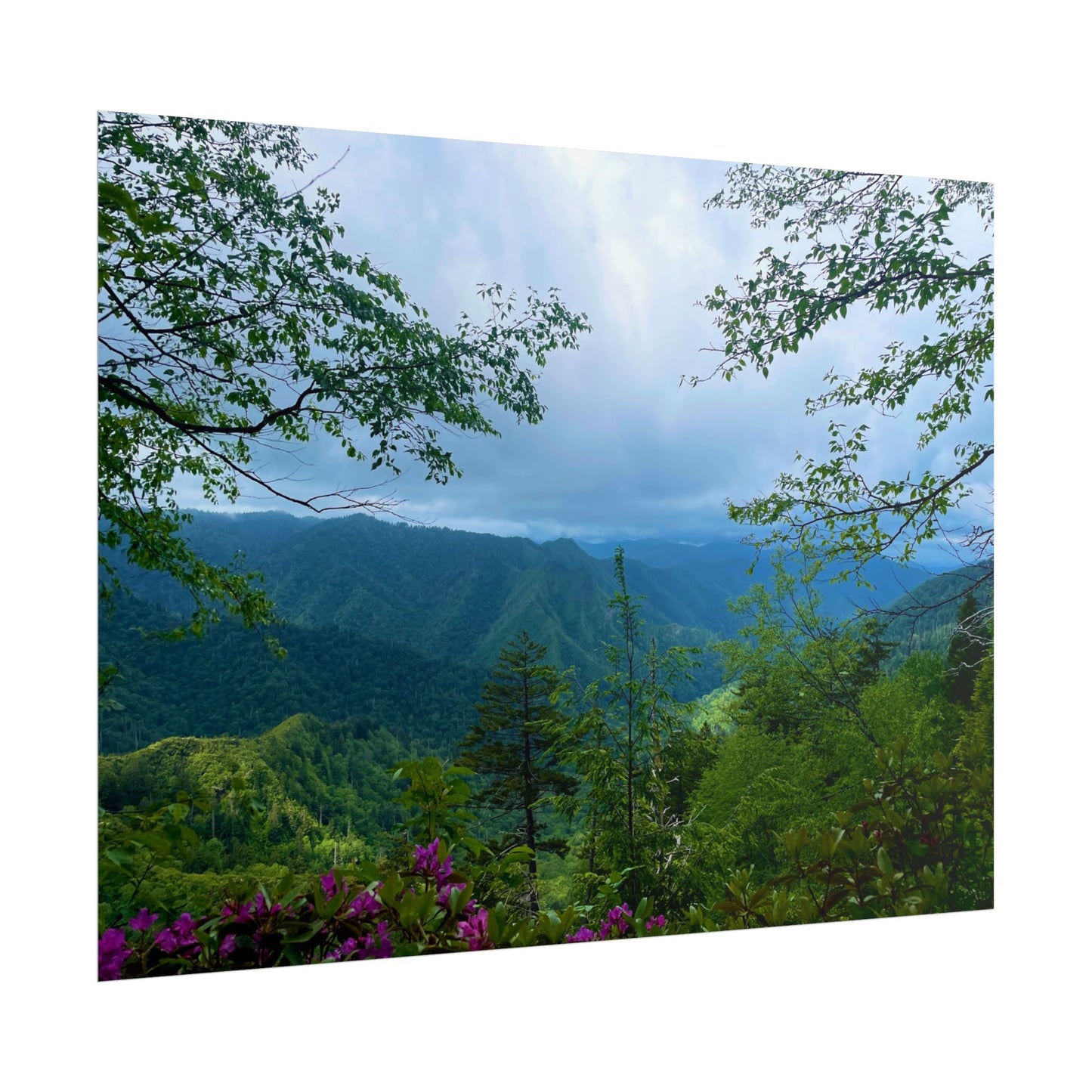 Smoky Mountain Photography Poster