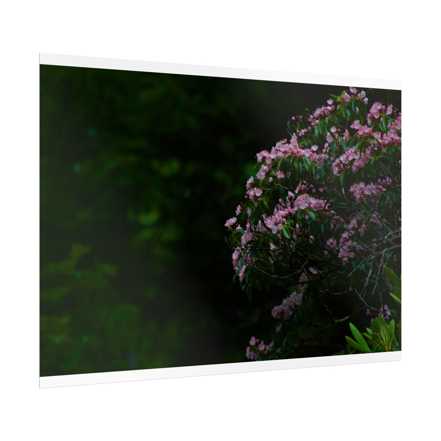 Floral Photography Poster