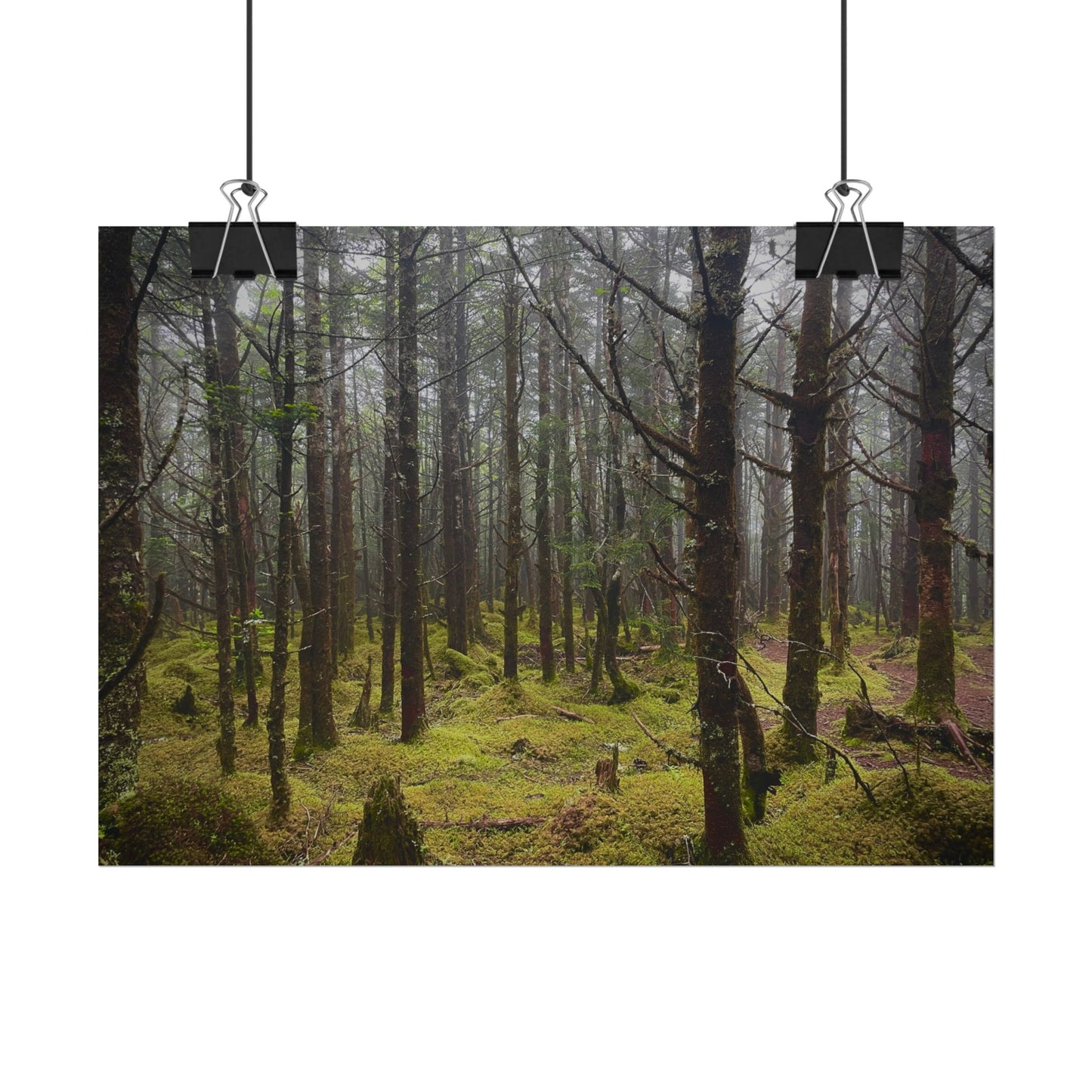 Foggy Forest Photography Poster