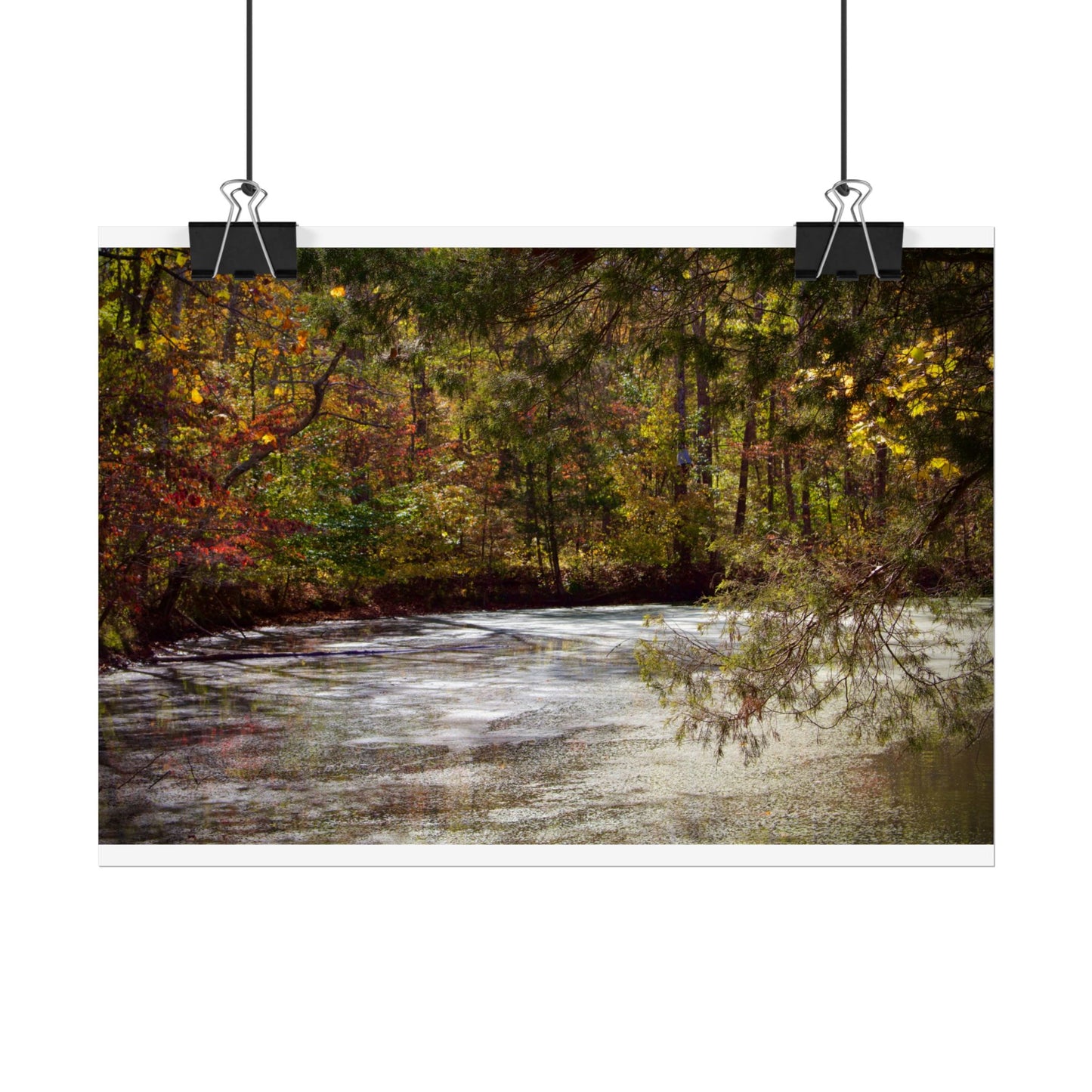 Autumn Serenity Rolled Posters - Nature Wall Art for Cozy Living Spaces