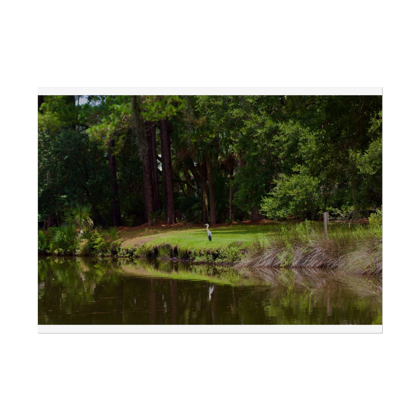 Tropical Photography Poster