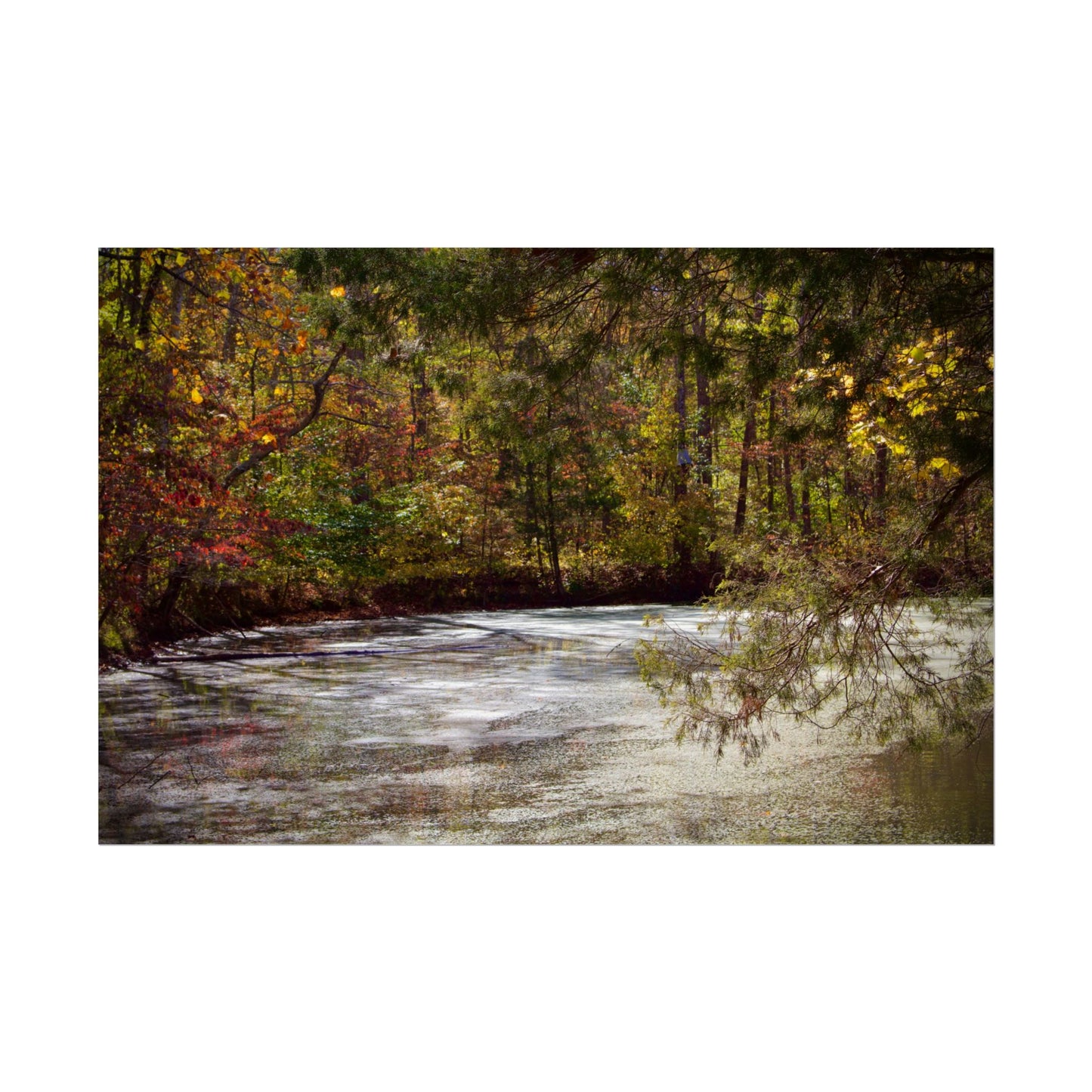 Autumn Serenity Rolled Posters - Nature Wall Art for Cozy Living Spaces