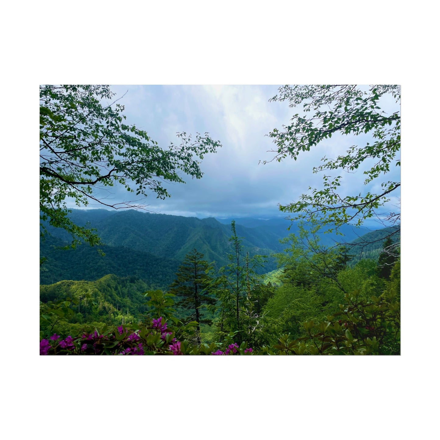 Smoky Mountain Photography Poster