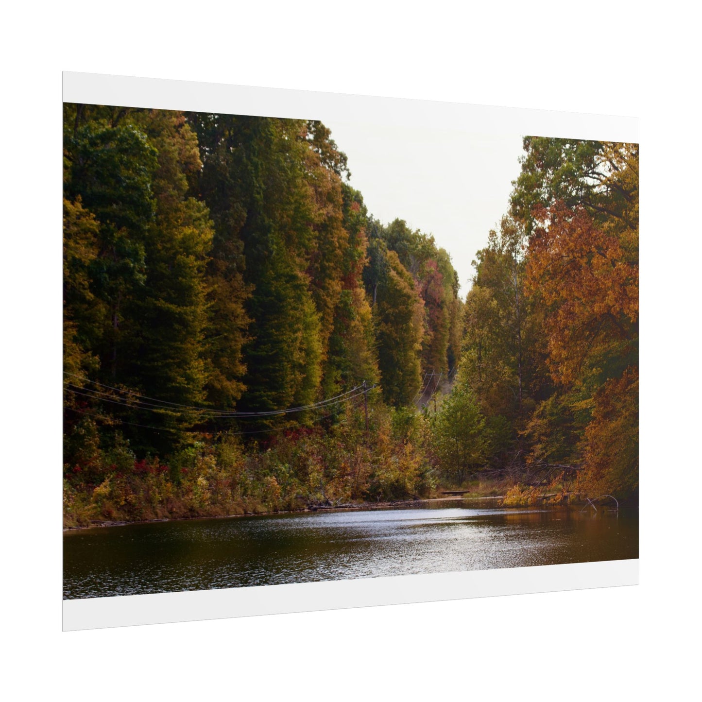Autumn Serenity Photography Poster