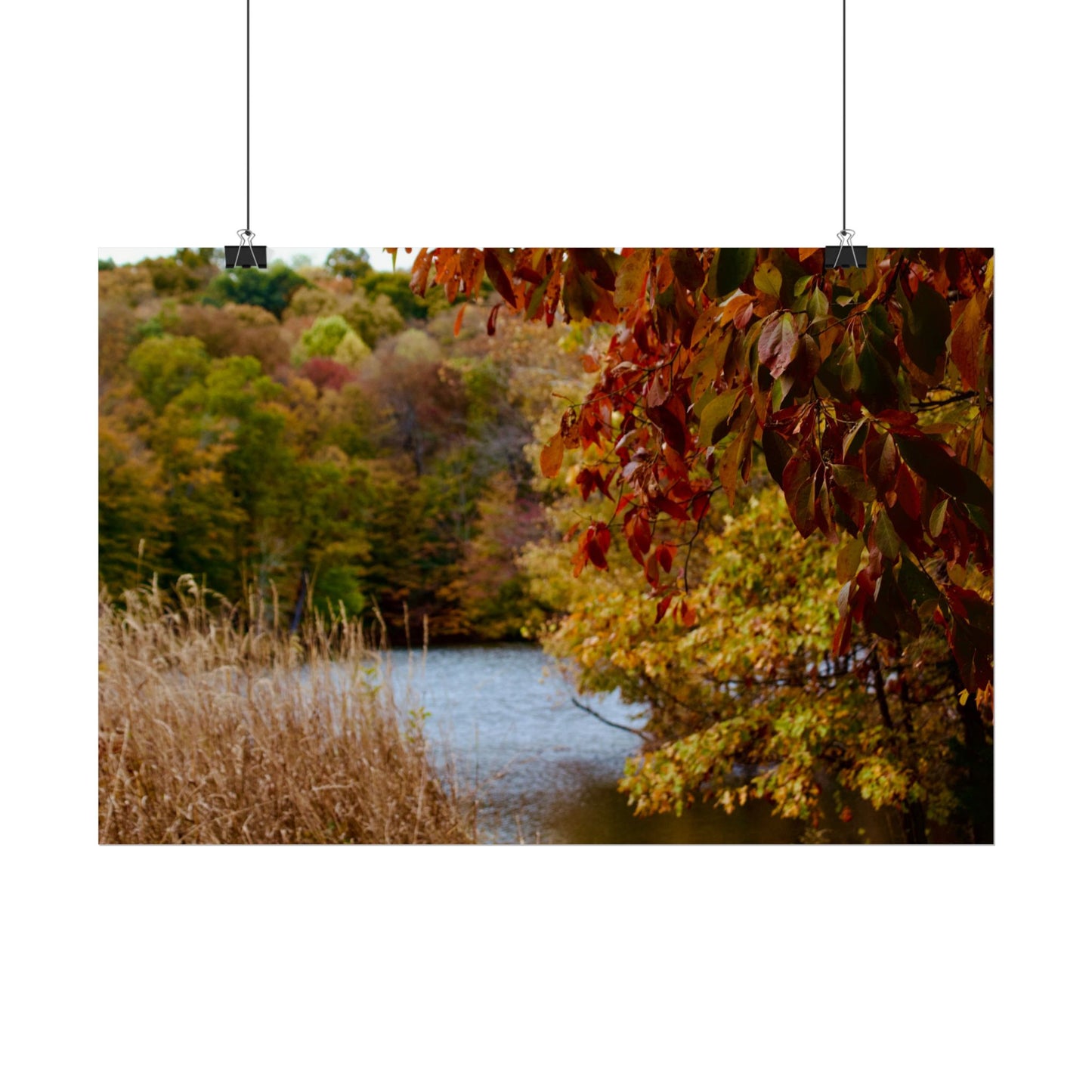 Autumn Lake Scene Photography Poster