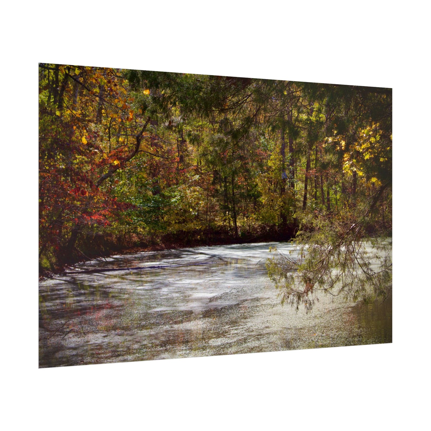 Autumn Serenity Rolled Posters - Nature Wall Art for Cozy Living Spaces