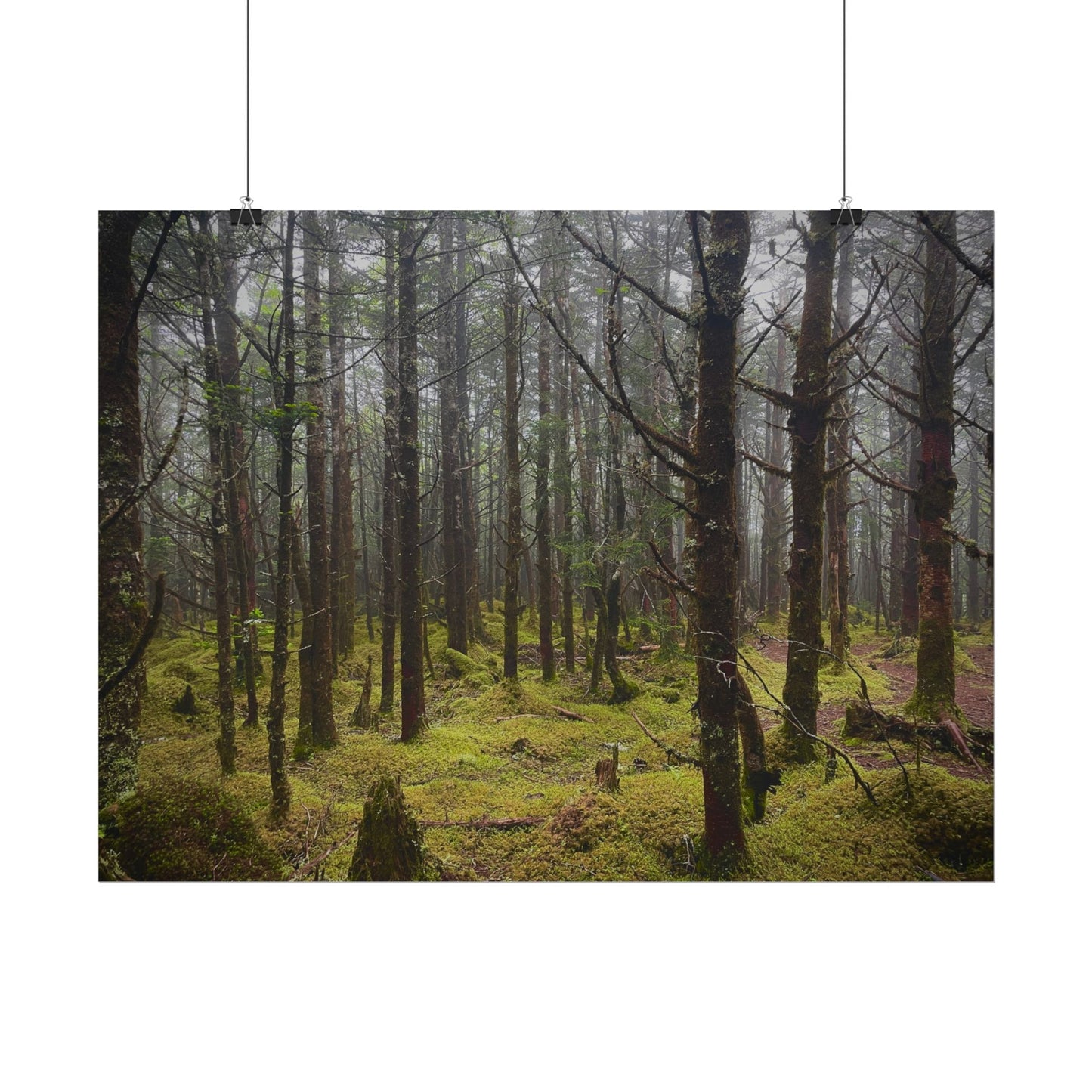 Foggy Forest Photography Poster