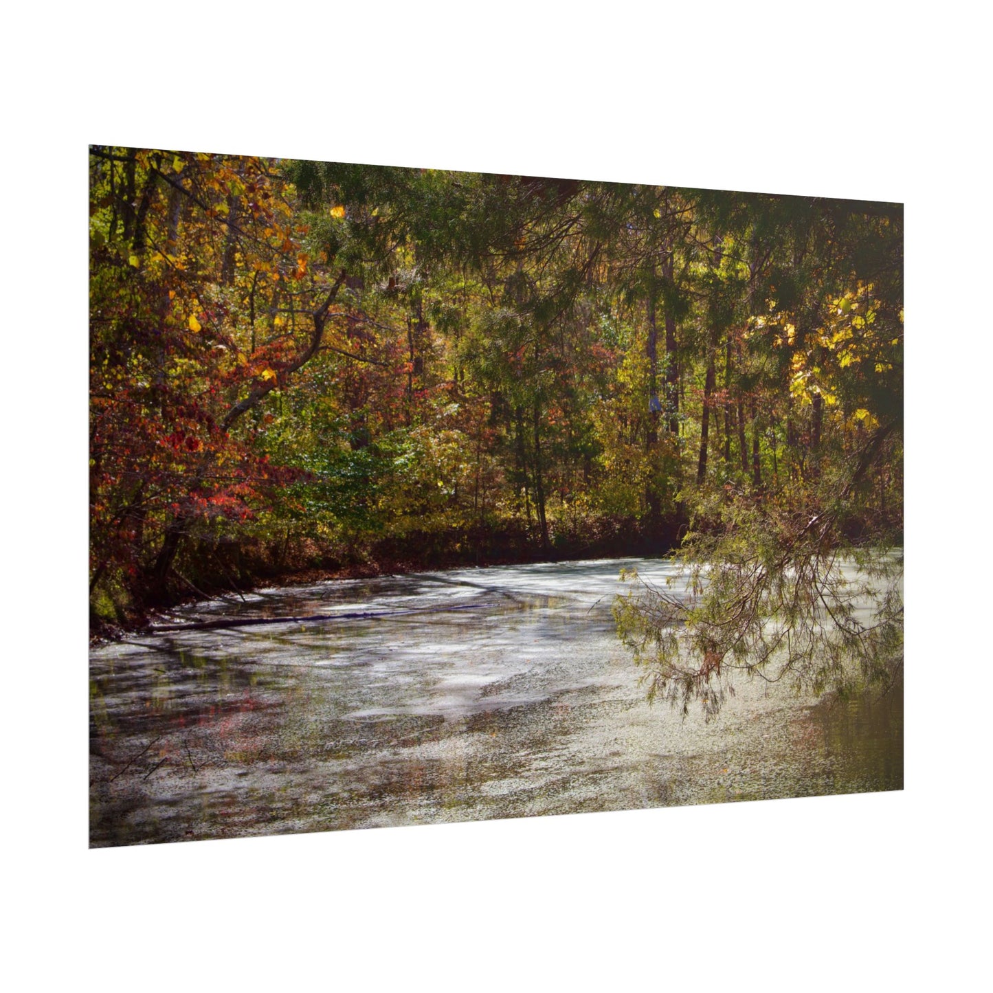 Autumn Serenity Rolled Posters - Nature Wall Art for Cozy Living Spaces
