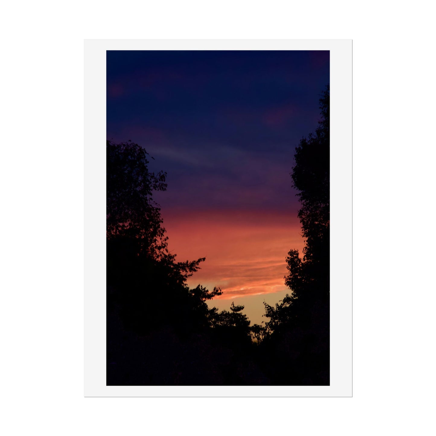 Sunset Silhouette Photography Poster