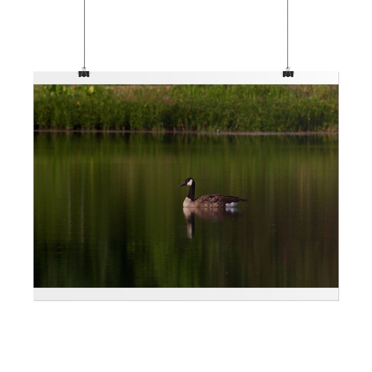 Goose Photography Poster