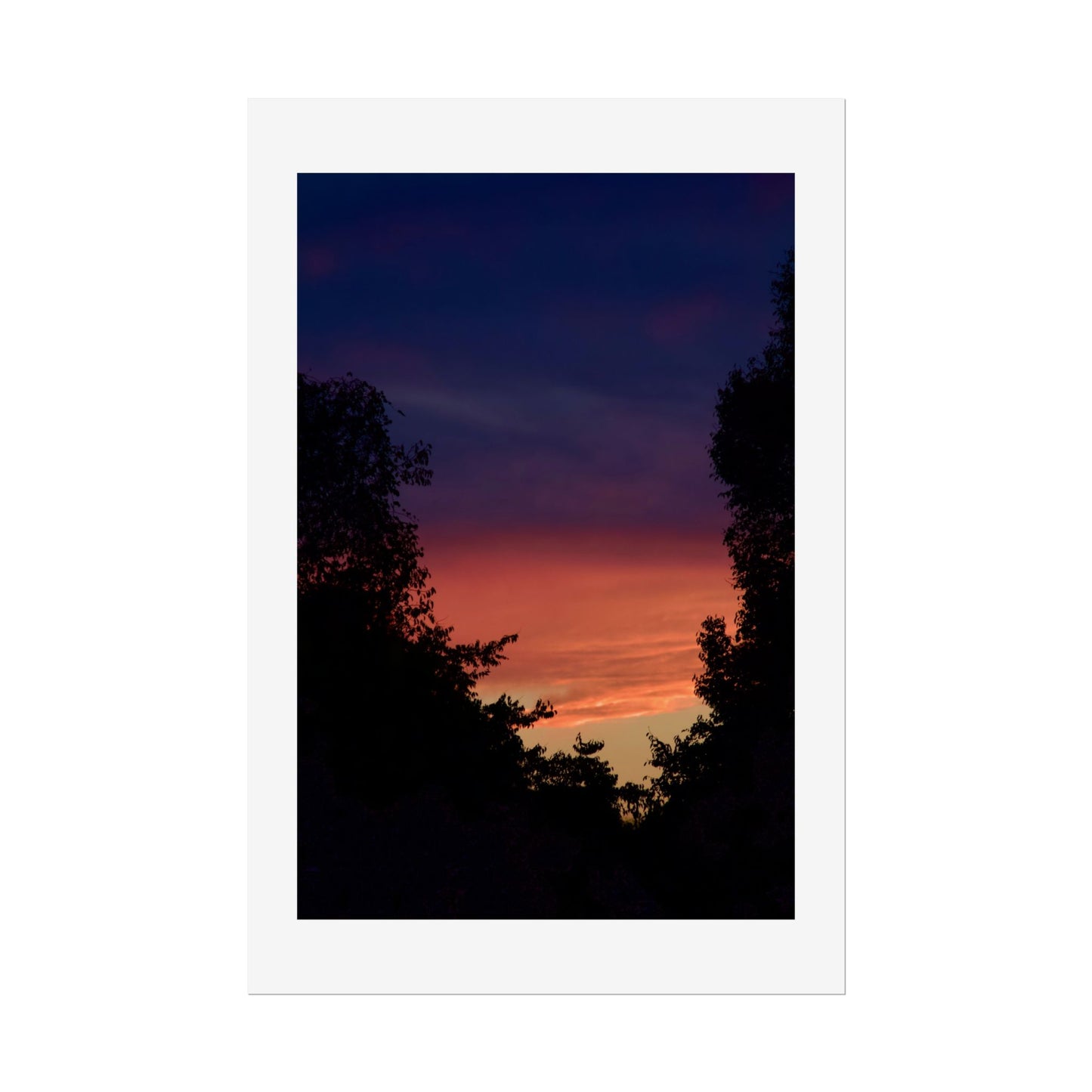 Sunset Silhouette Photography Poster