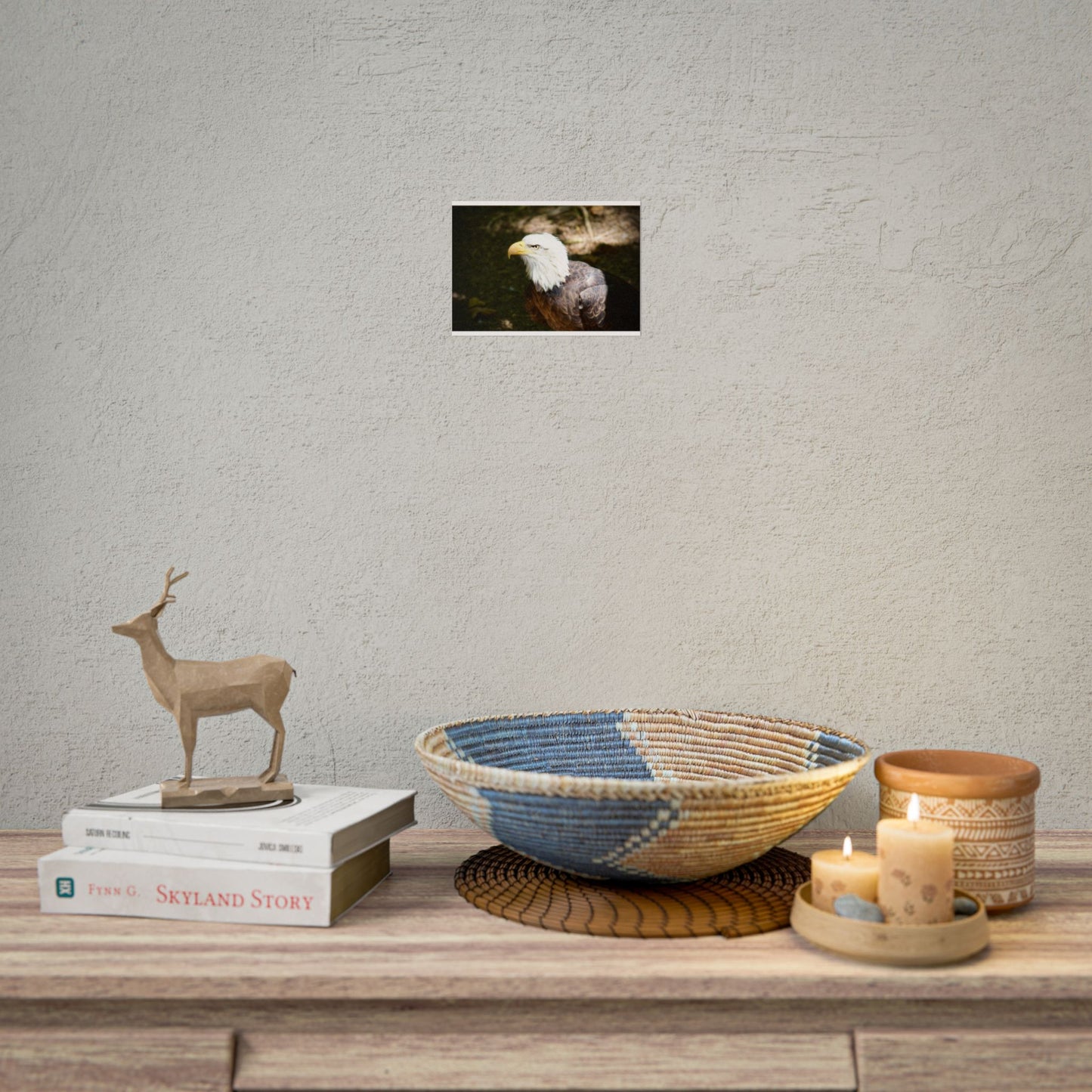 Eagle Photography Poster