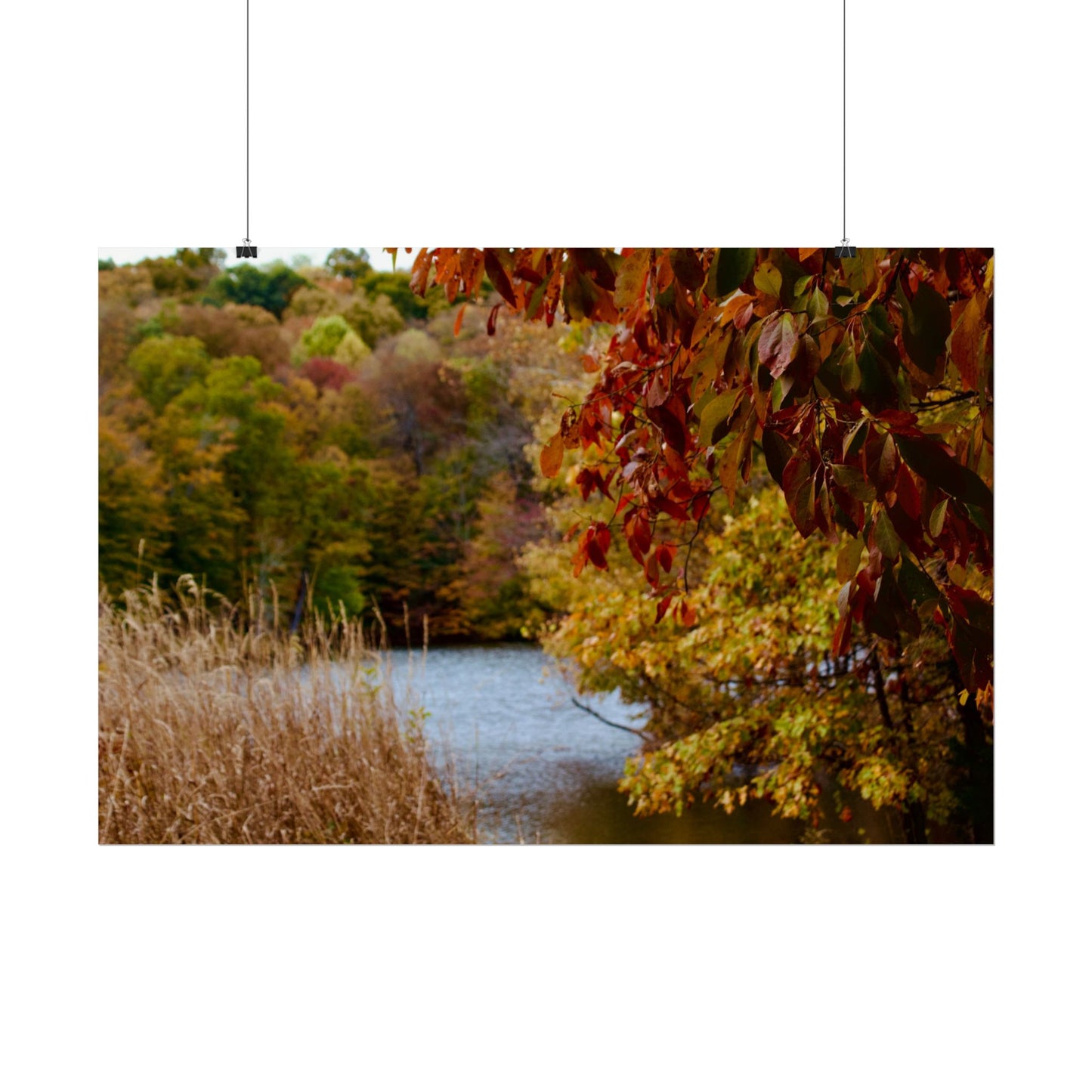 Autumn Lake Scene Photography Poster