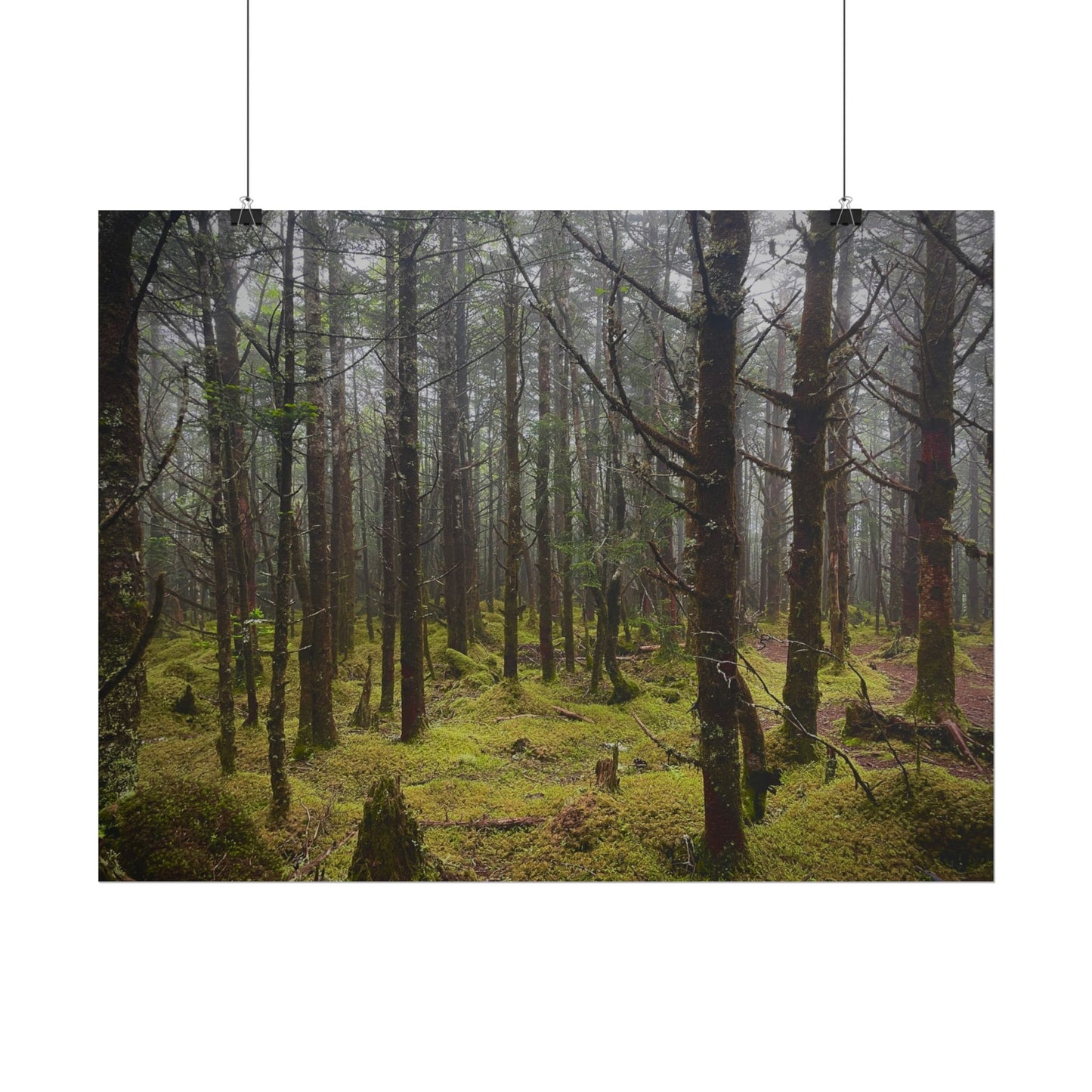 Foggy Forest Photography Poster
