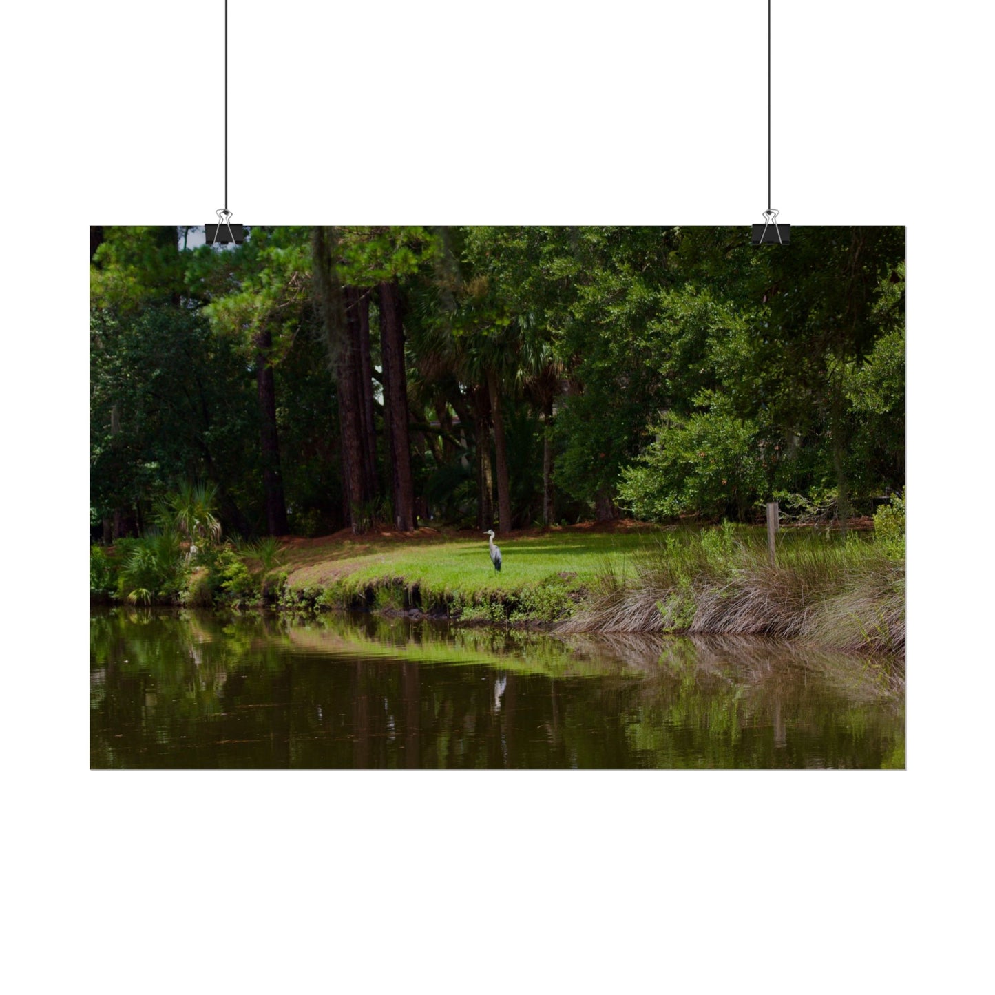 Tropical Photography Poster