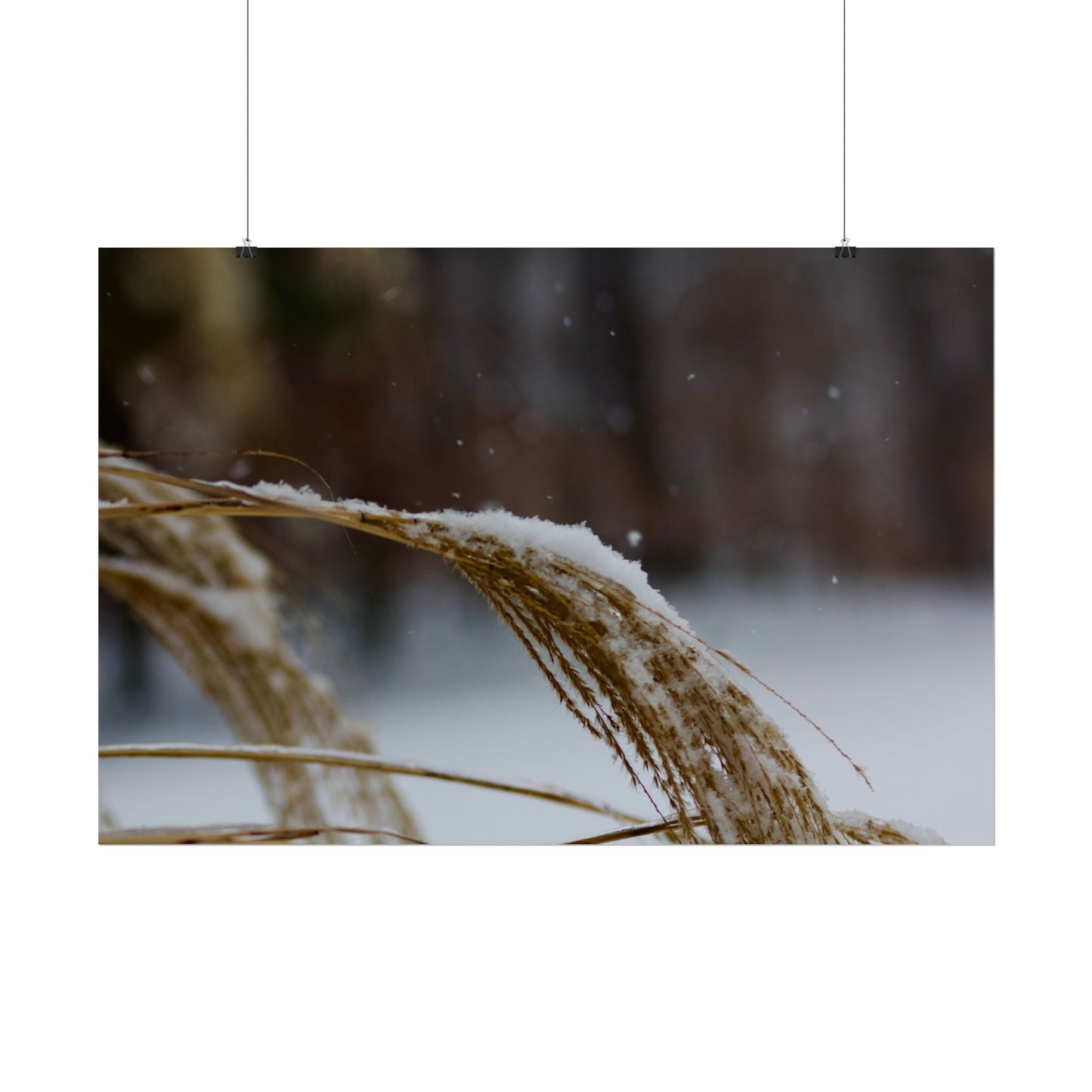 Winter Scene Photography Poster