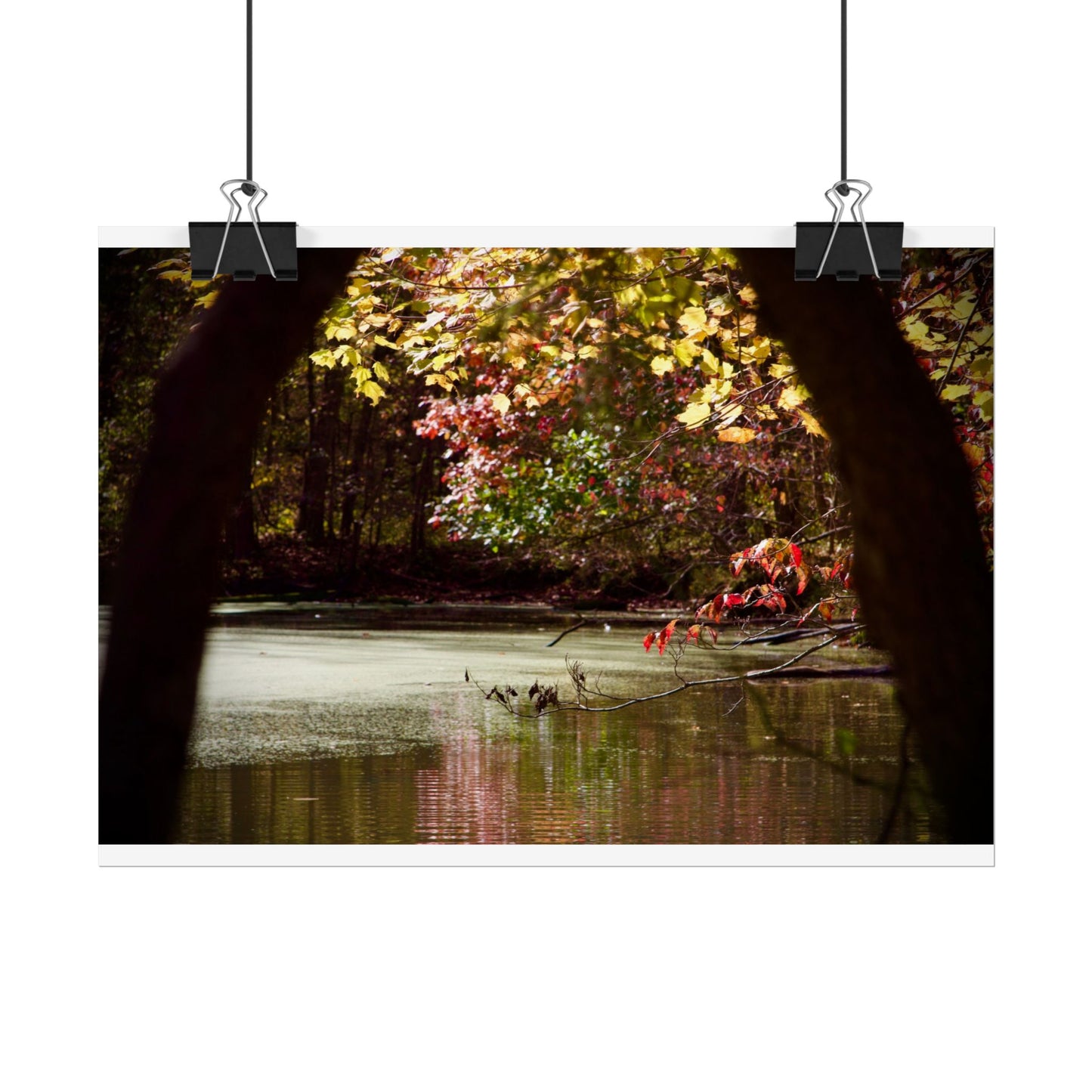 Autumn Fall Scene Photography Poster