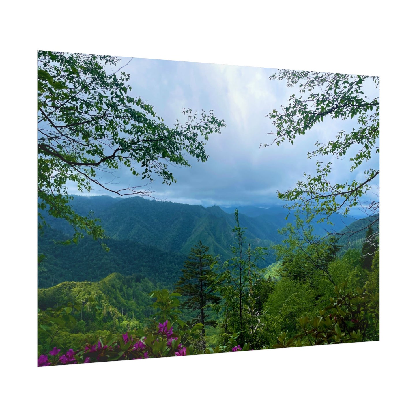 Smoky Mountain Photography Poster