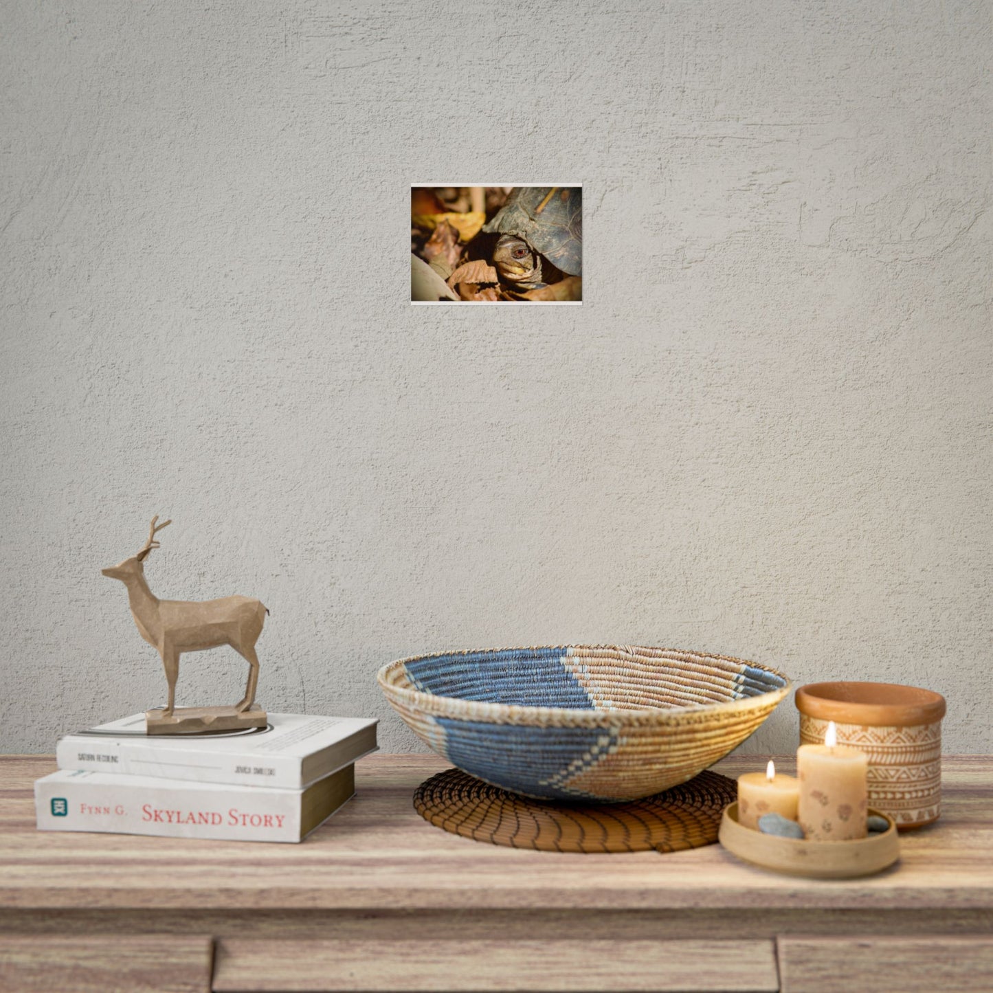 Box Turtle Photography Poster