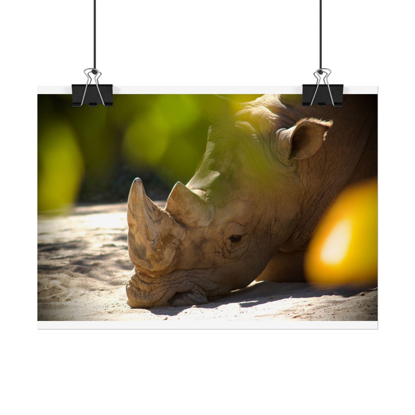 Rhino Photography Poster