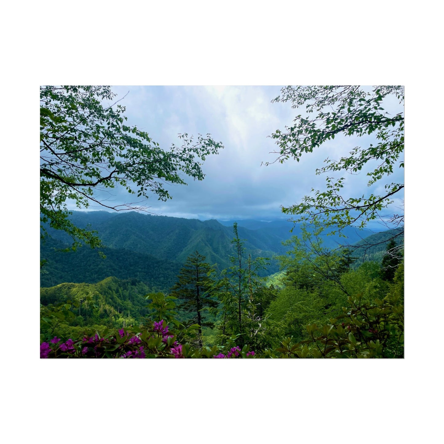 Smoky Mountain Photography Poster