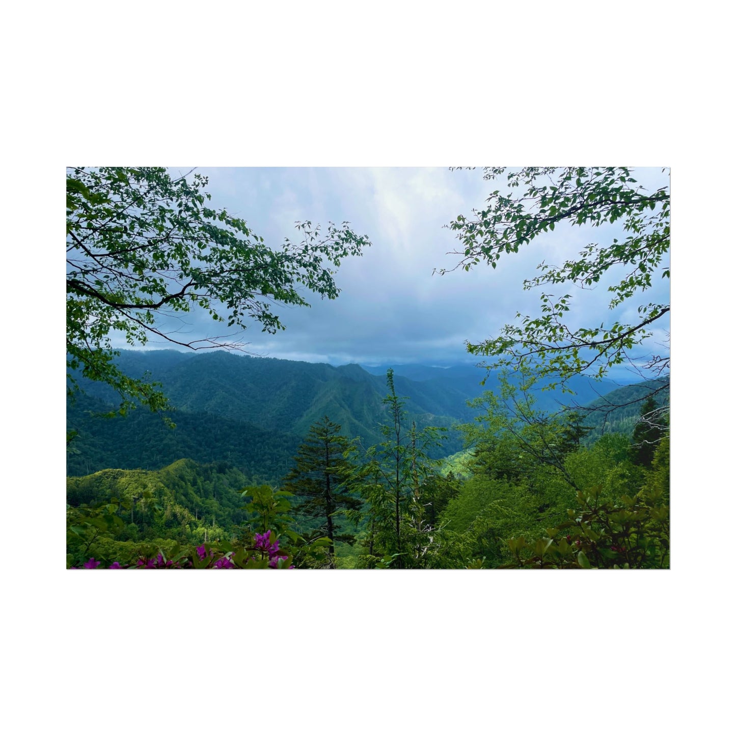 Smoky Mountain Photography Poster