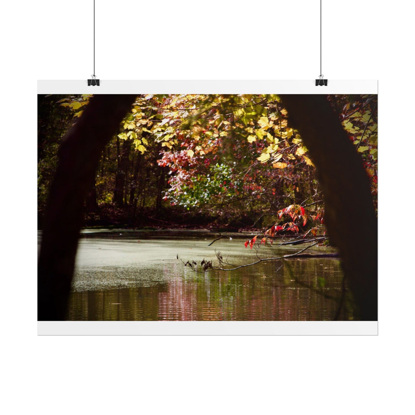 Autumn Fall Scene Photography Poster
