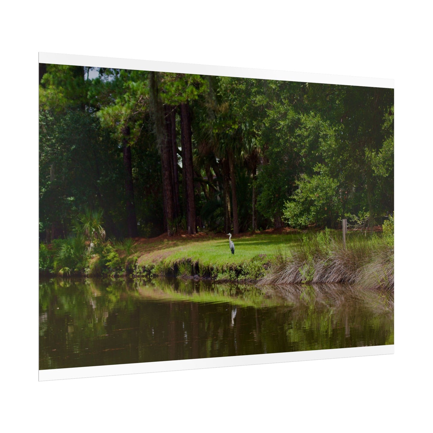 Tropical Photography Poster