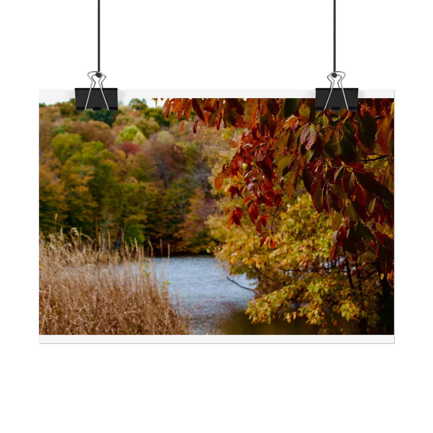 Autumn Lake Scene Photography Poster