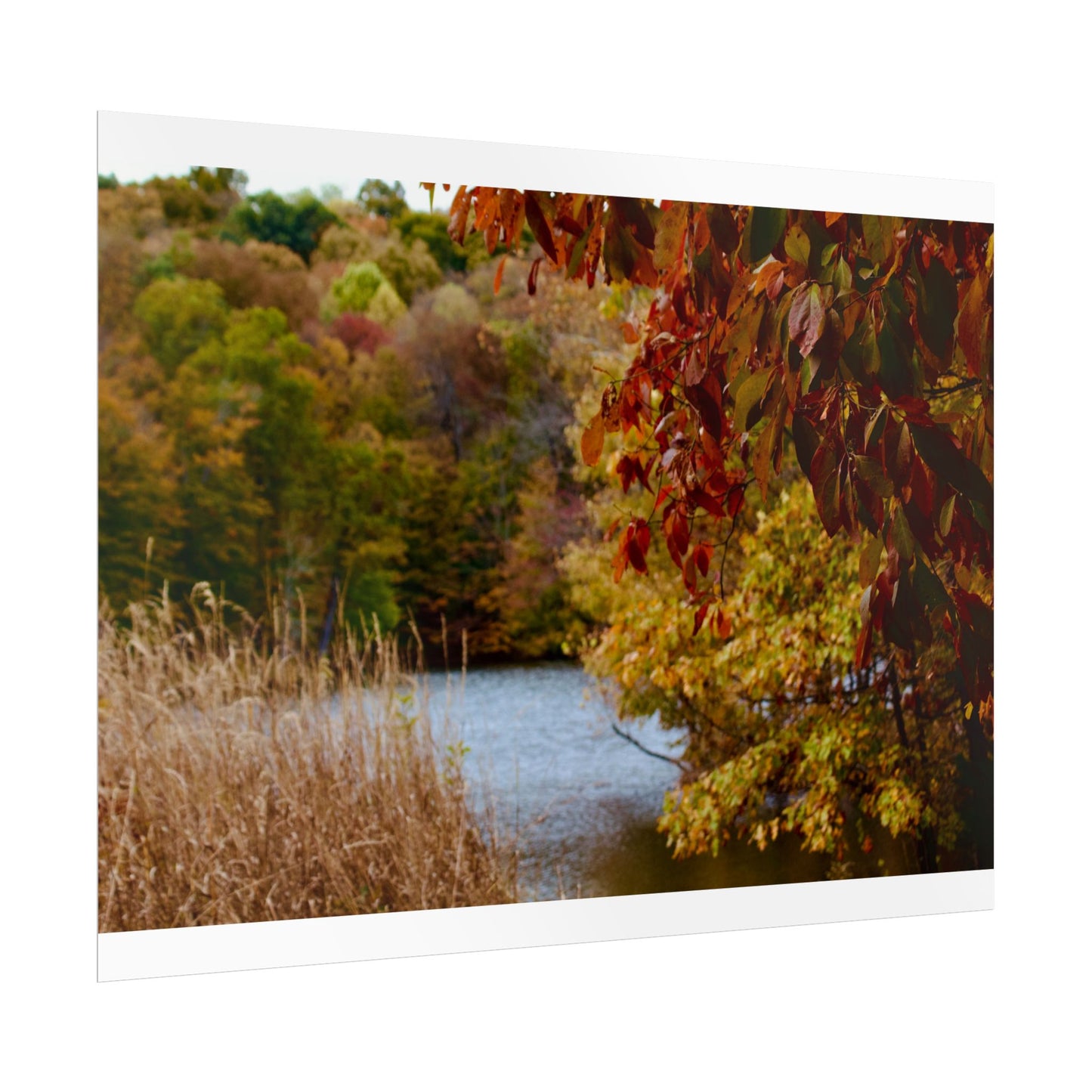 Autumn Lake Scene Photography Poster