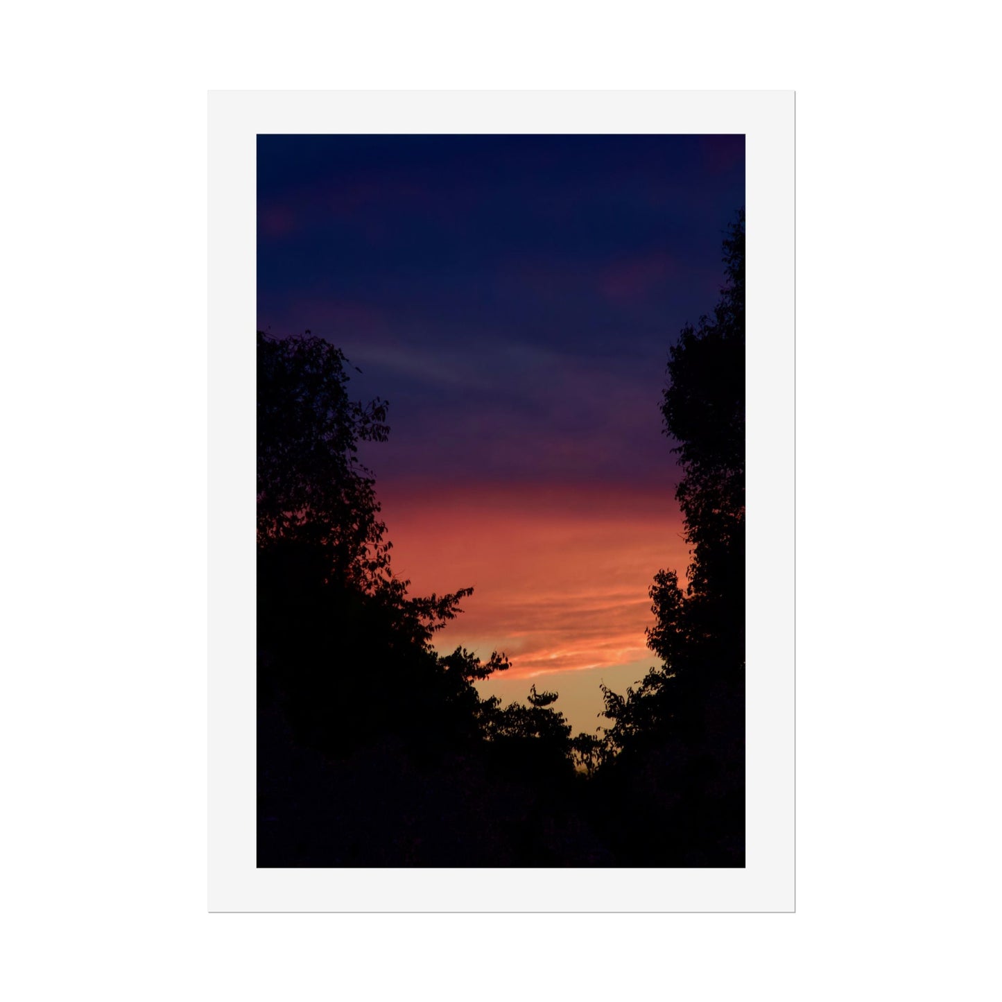 Sunset Silhouette Photography Poster