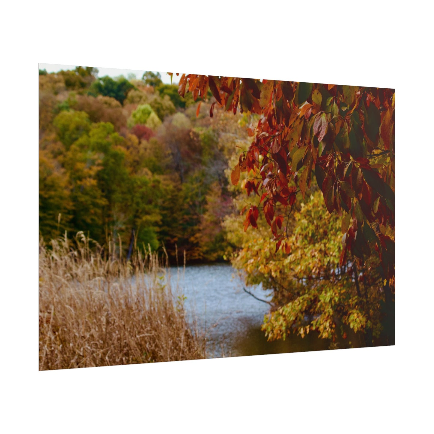 Autumn Lake Scene Photography Poster