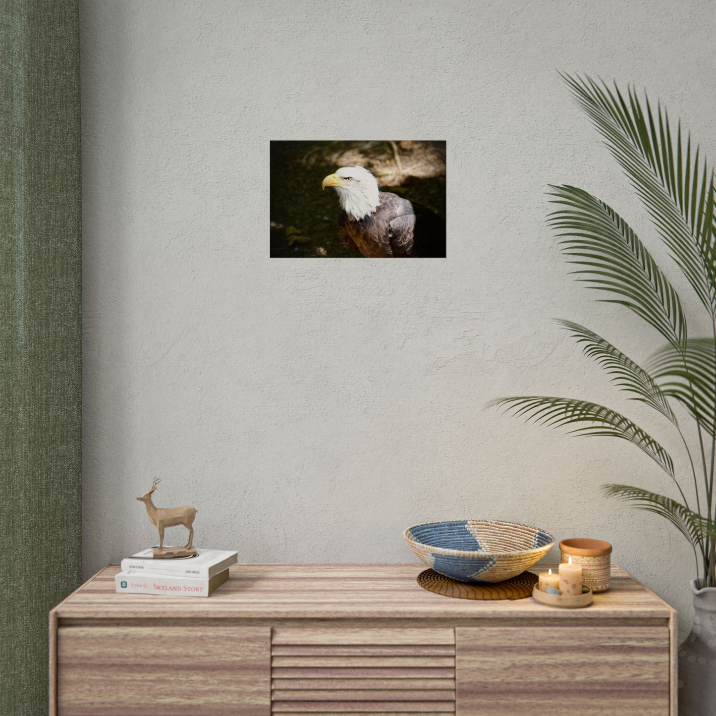 Eagle Photography Poster