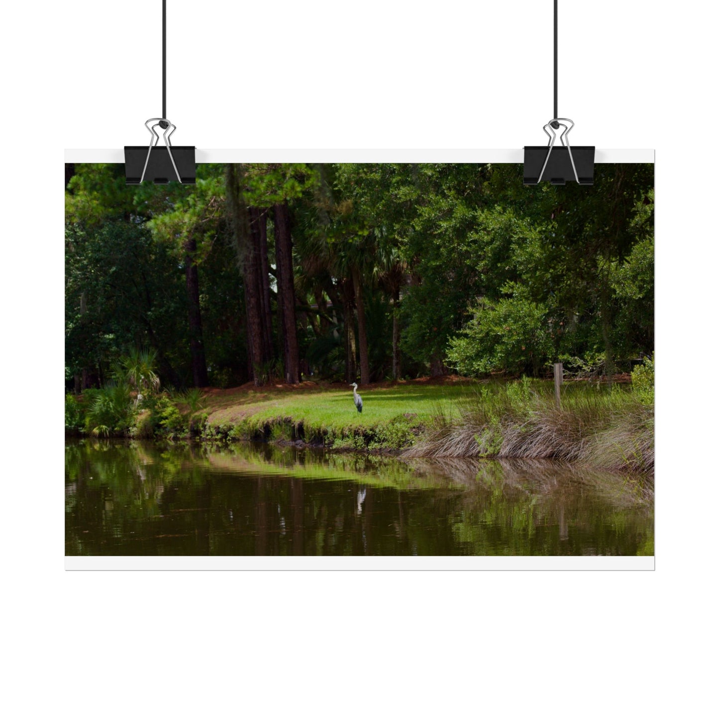 Tropical Photography Poster