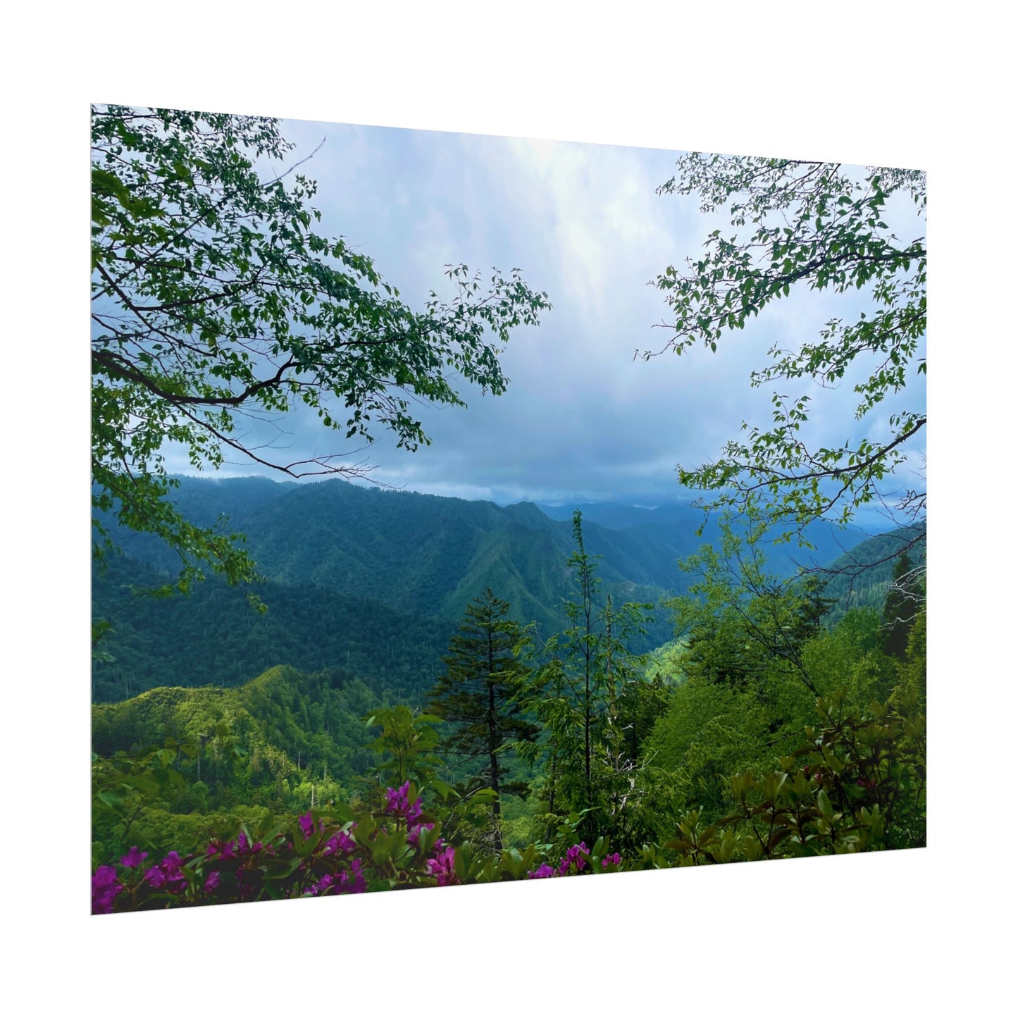 Smoky Mountain Photography Poster