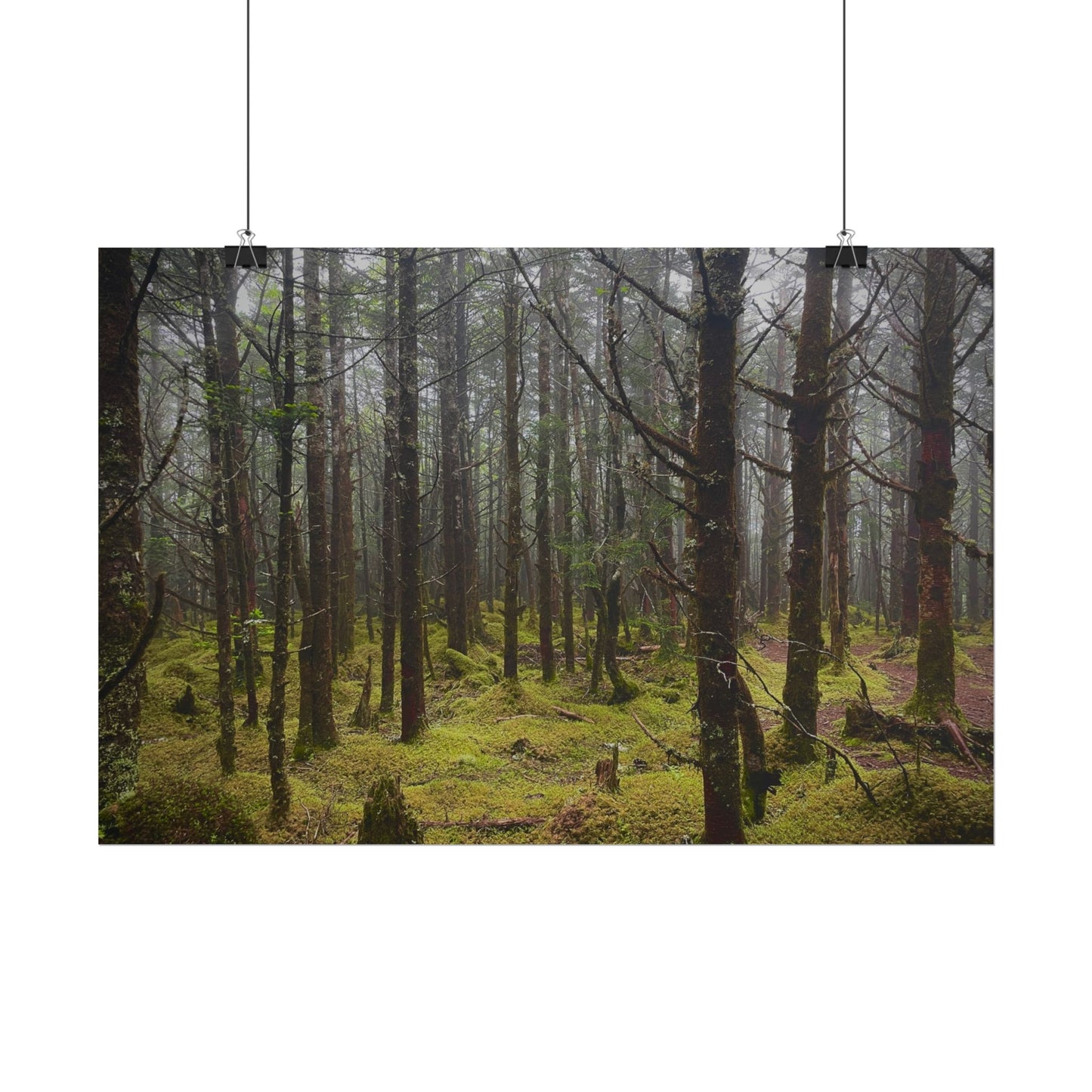 Foggy Forest Photography Poster