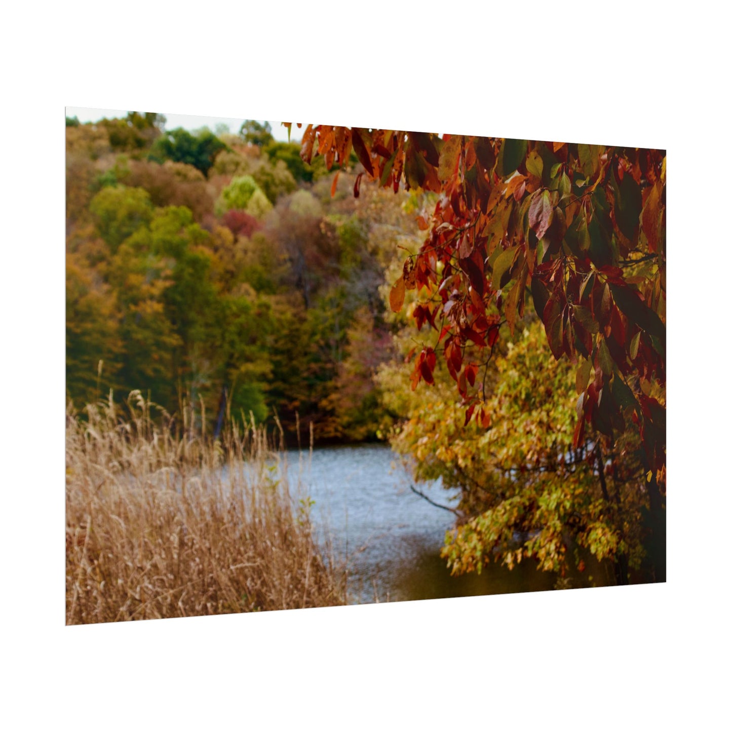 Autumn Lake Scene Photography Poster