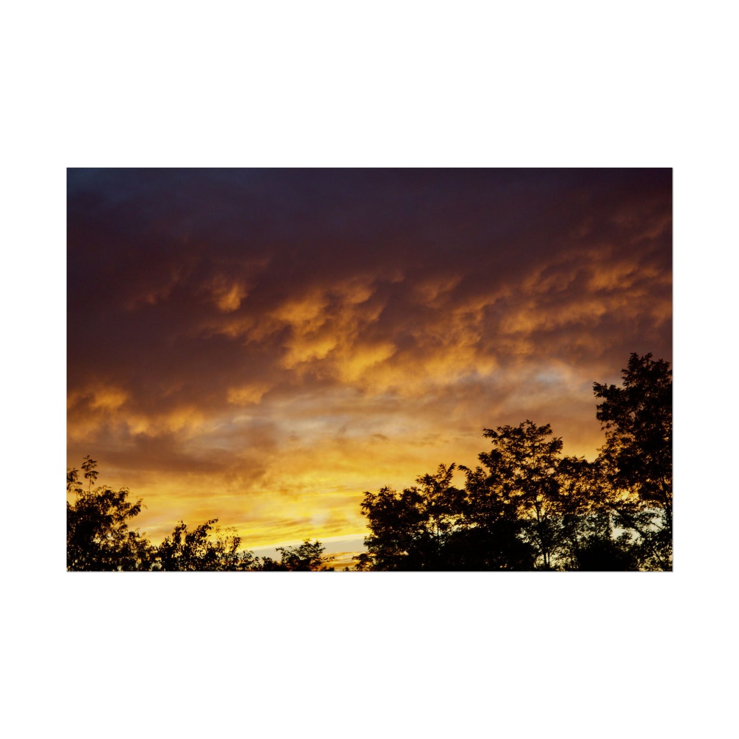 Sunset Landscape Photography Poster