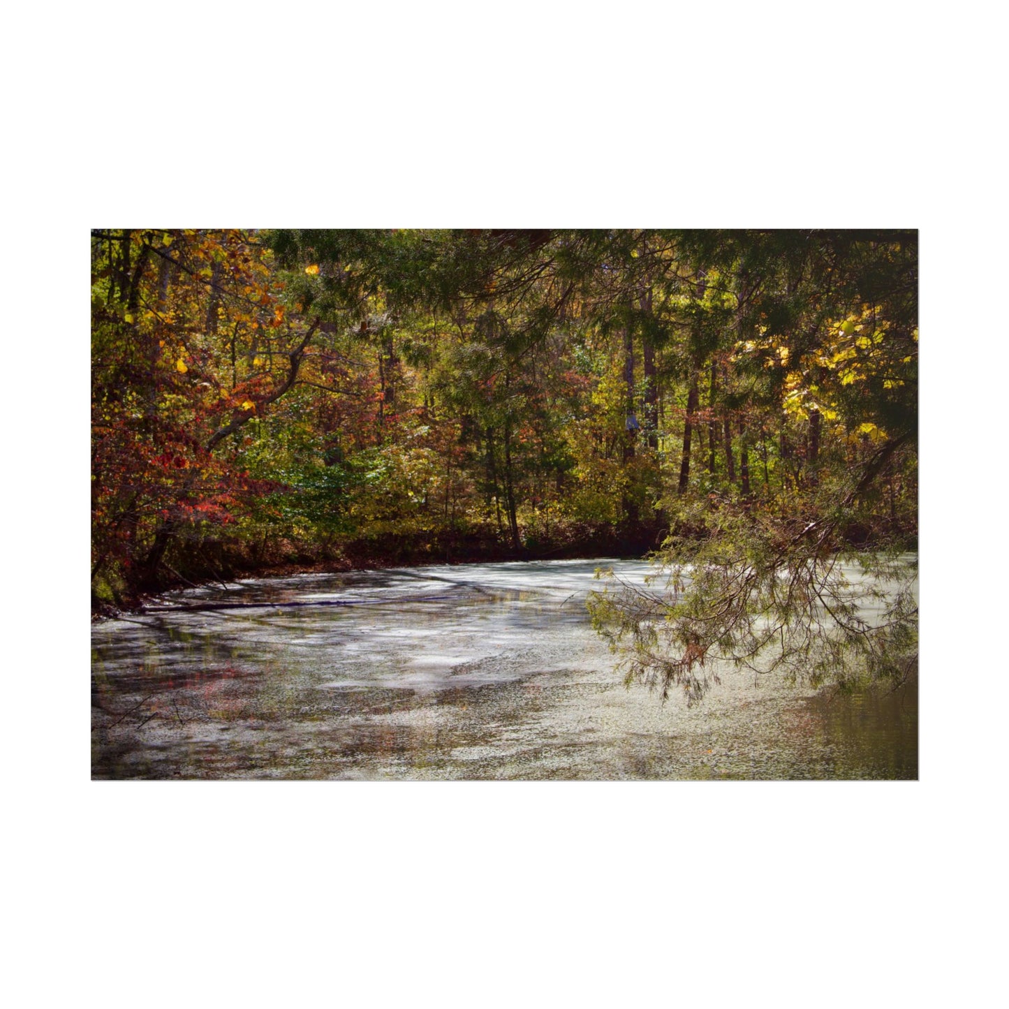 Autumn Serenity Rolled Posters - Nature Wall Art for Cozy Living Spaces