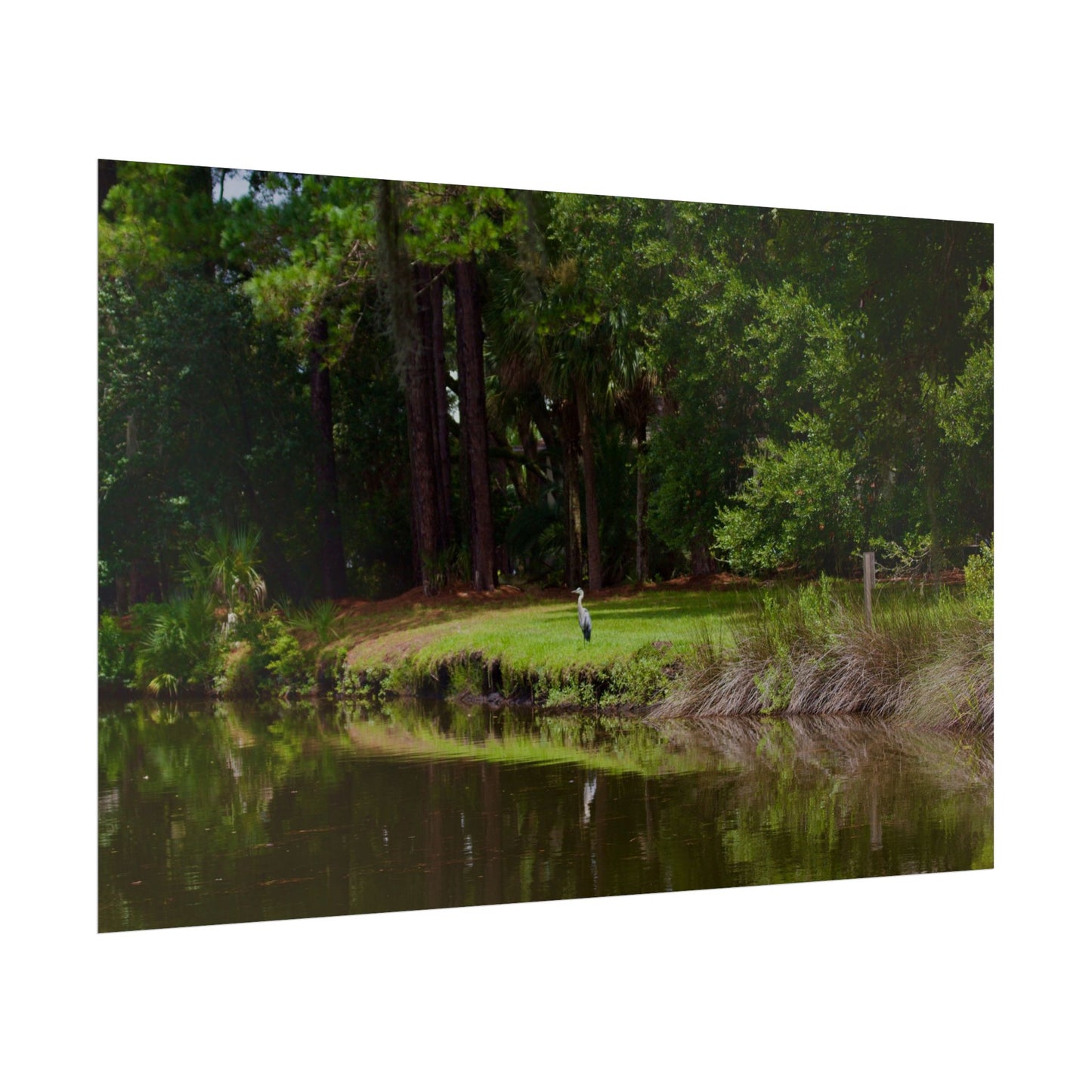 Tropical Photography Poster