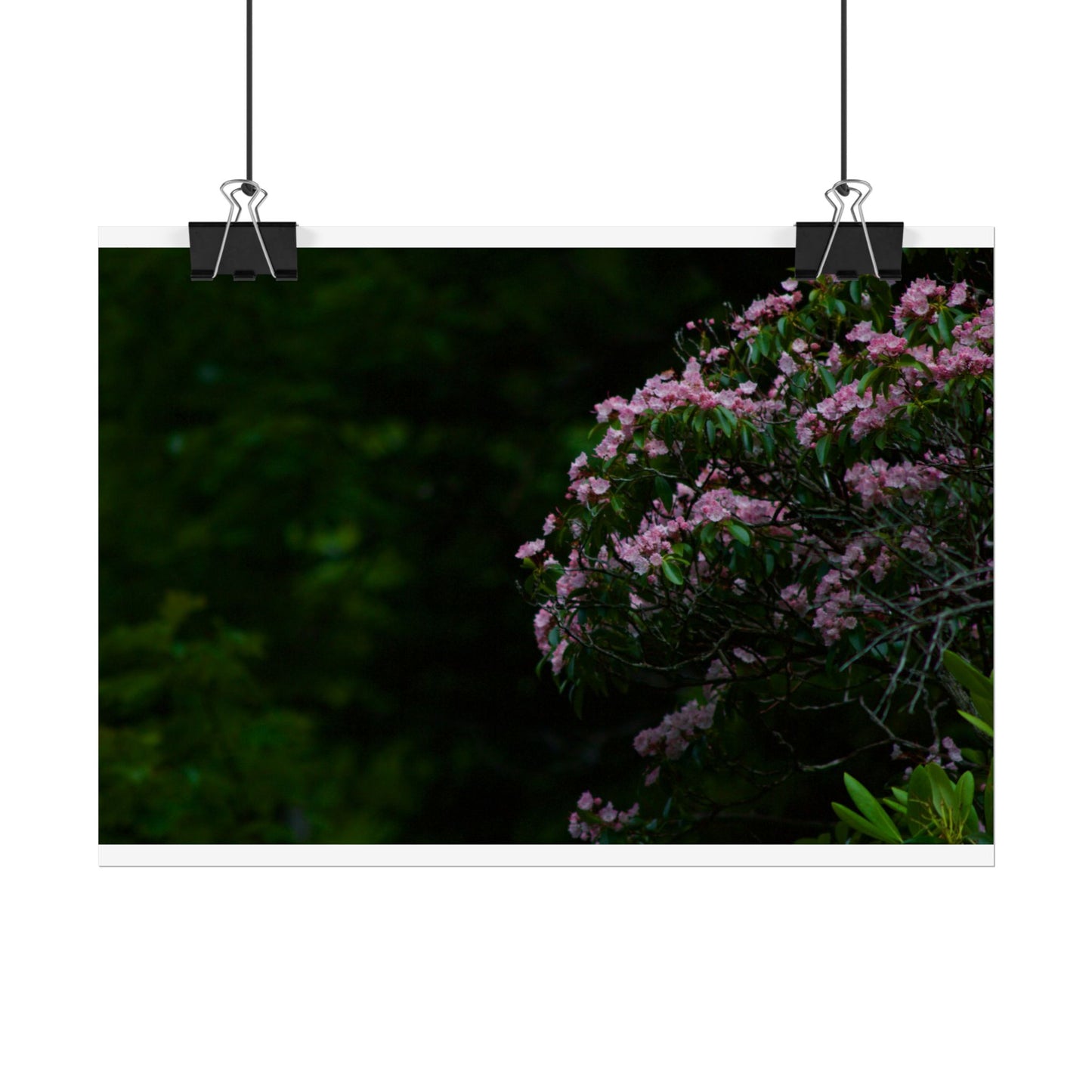 Floral Photography Poster