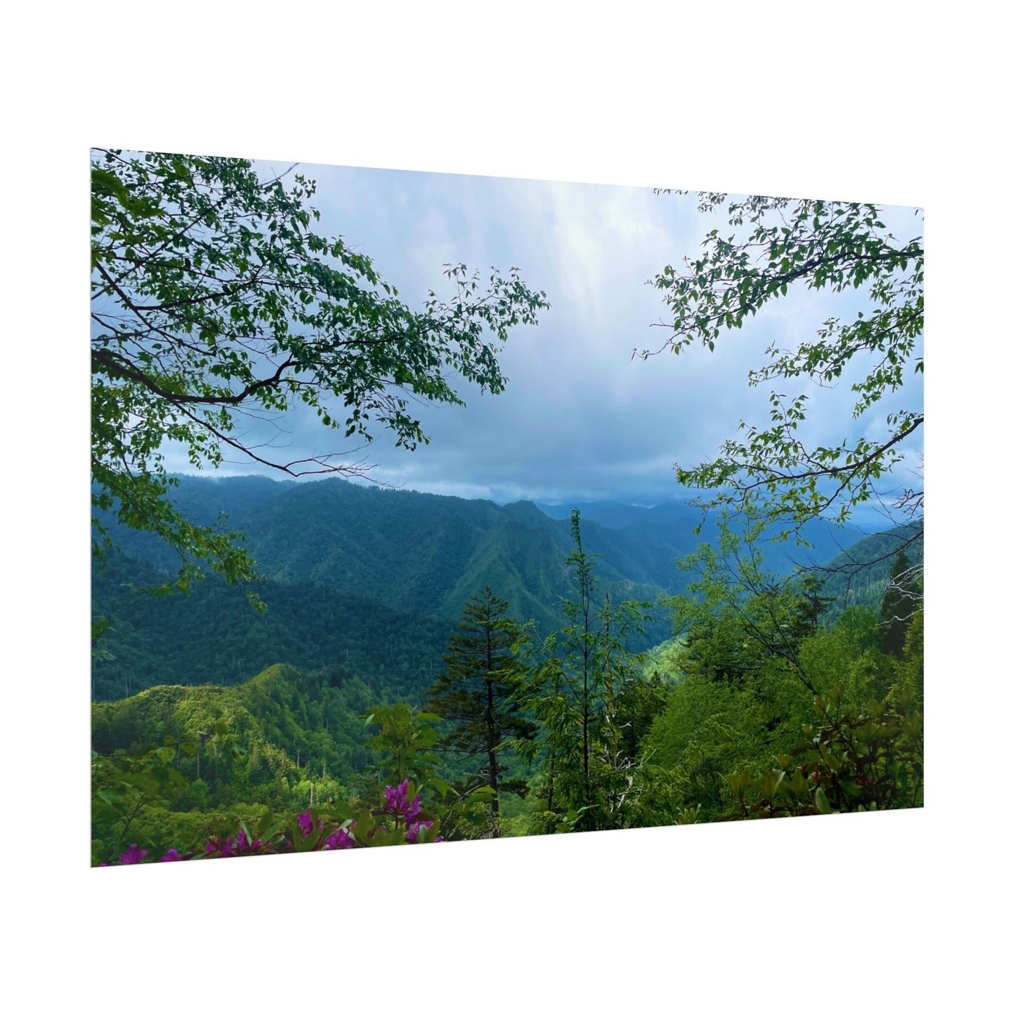 Smoky Mountain Photography Poster