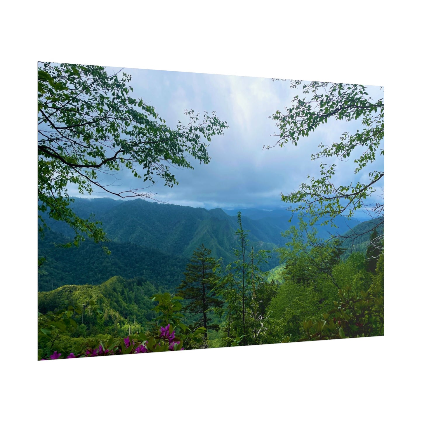 Smoky Mountain Photography Poster