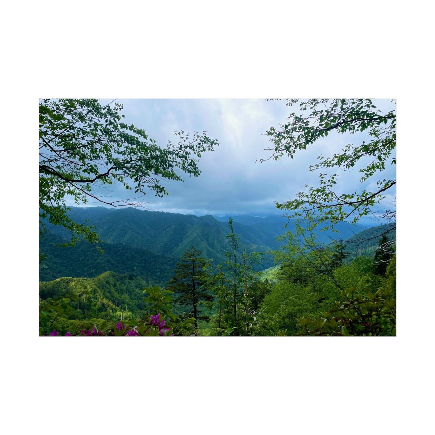 Smoky Mountain Photography Poster